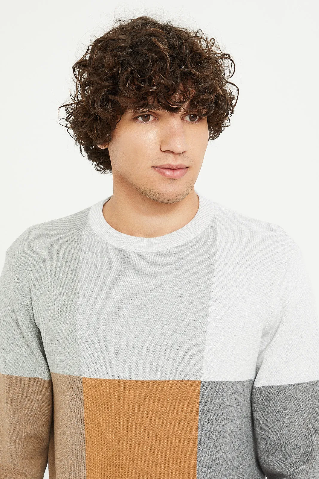 Men Assorted Geometric Check Sweater