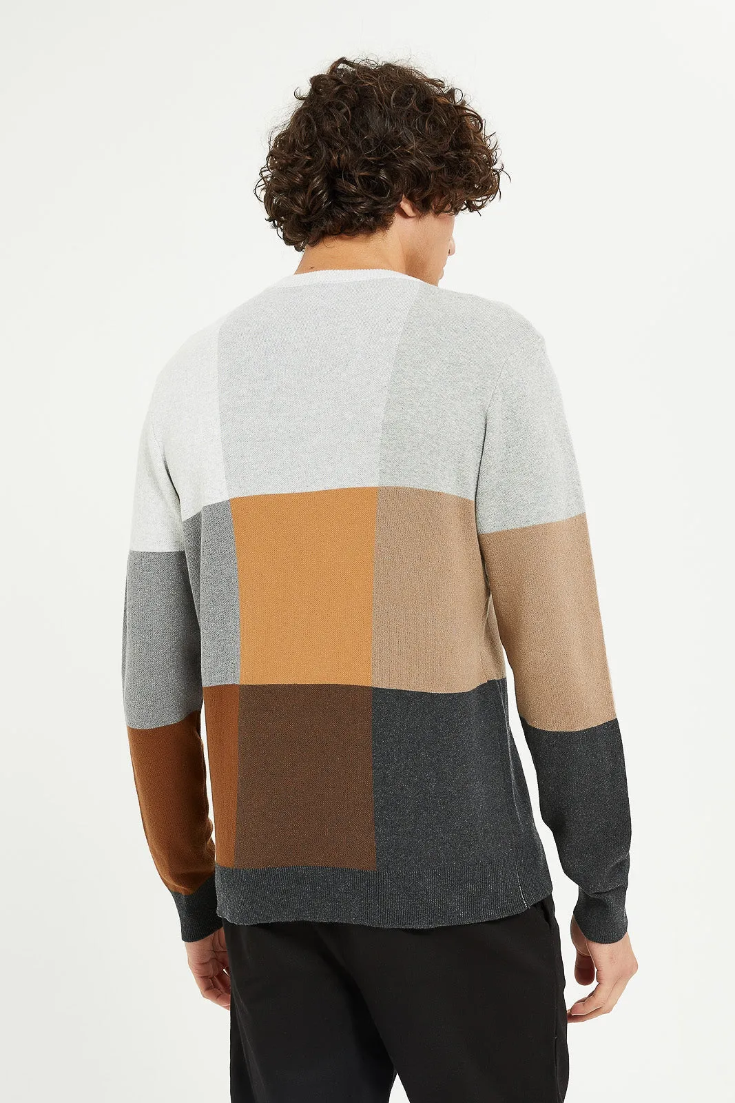 Men Assorted Geometric Check Sweater